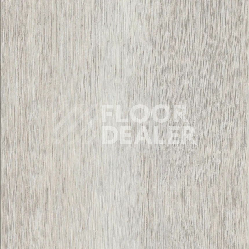 Кварцвиниловые полы Maximus Plank French Oak Polar фото 1 | FLOORDEALER